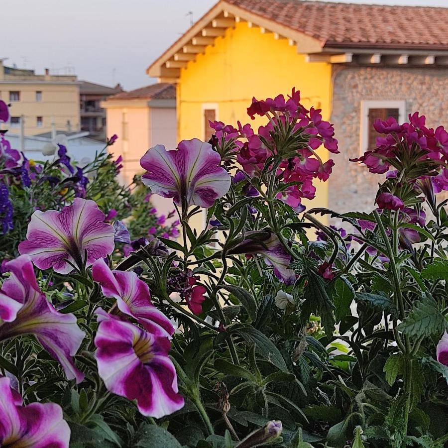 Lovely Casa Paola Villlafranca Centro Zimmer Rooms Villafranca di Verona Zewnętrze zdjęcie